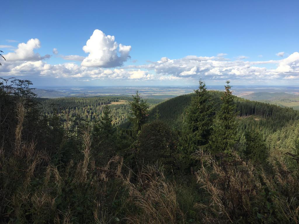 Fewo Andresen Hahnenklee Goslar Luaran gambar